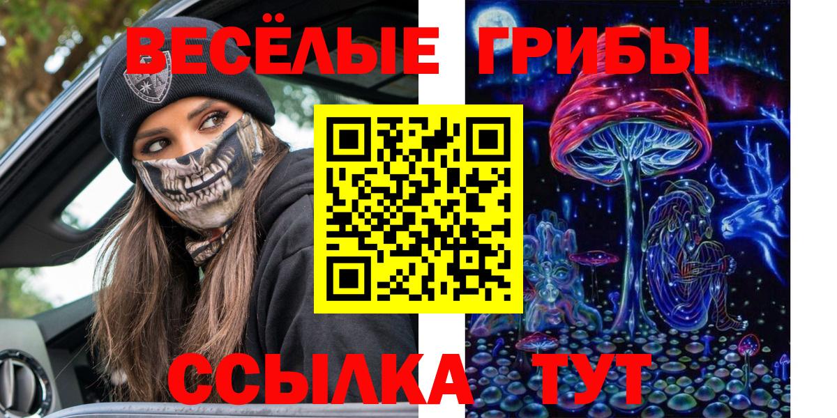 Заводоуковск  Галлюциногенные грибы Magic Shrooms  Вход с VPN 